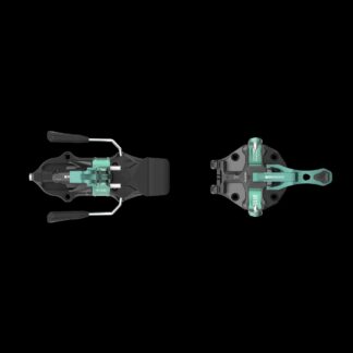 RAIDER 11 EVO